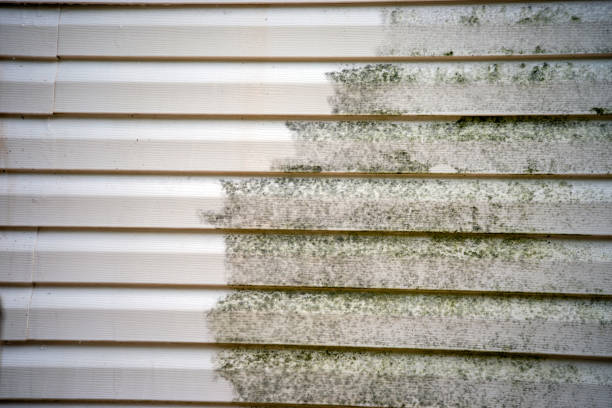 Best Fiber Cement Siding Installation  in West Jefferson, OH