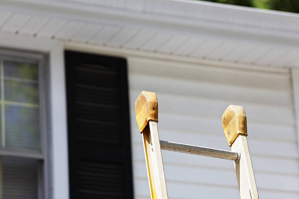 Best Siding Painting and Refinishing  in West Jefferson, OH